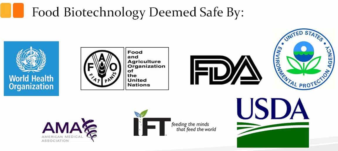 Food Biotech Deemed Safe
