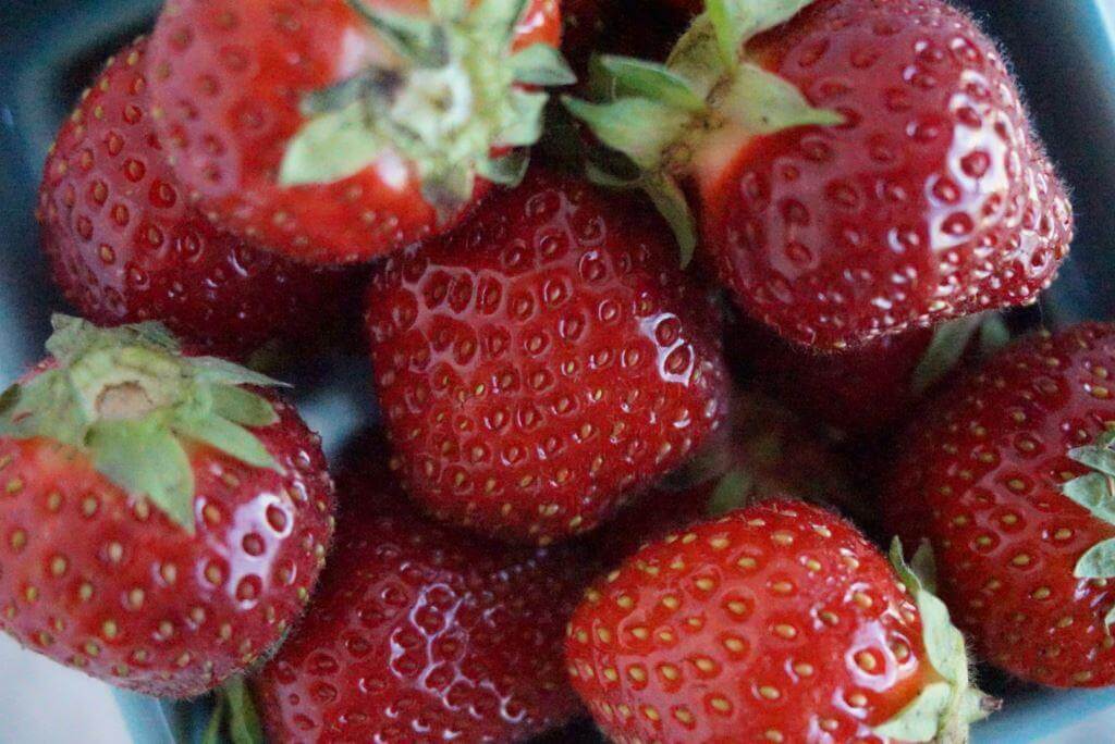bowl of strawberries com