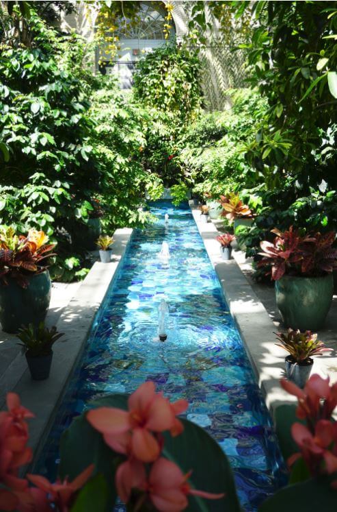US Botanical Garden Pool