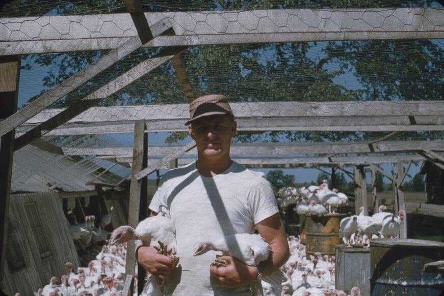 john-zimmerman-father-holding-turkeys