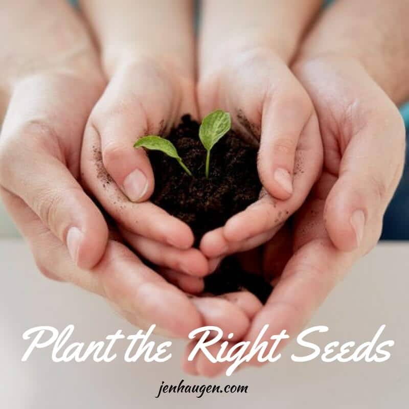 Planting the right seeds