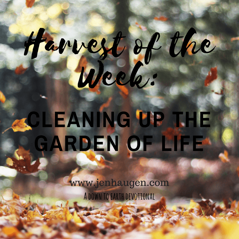 Cleaning UP the Garden of Life