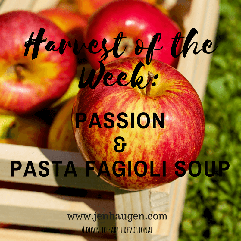 Passion and Pasta Fagioli Soup