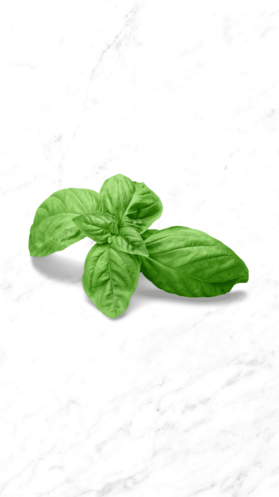 Basil Pesto – Midwest Goodness